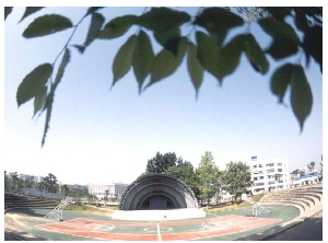 노천극장 THUMBNAIL